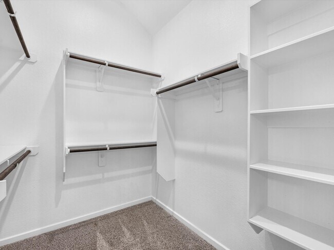 Building Photo - 731 Lacebark Elm Trl