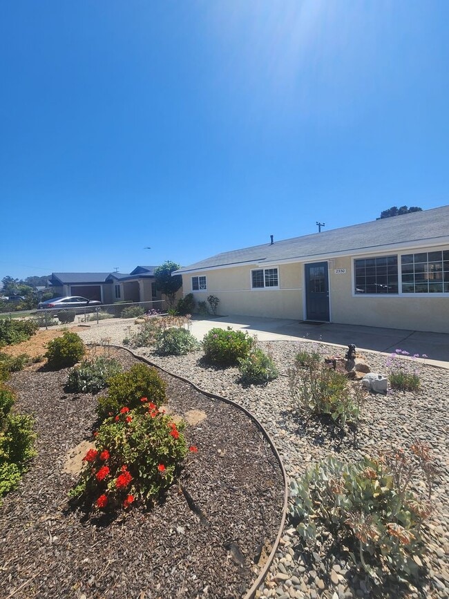 Building Photo - Modern Single Level 4 Bedroom Home!