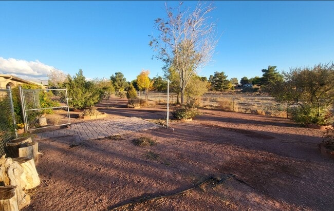 Building Photo - 1101 Bourbon St