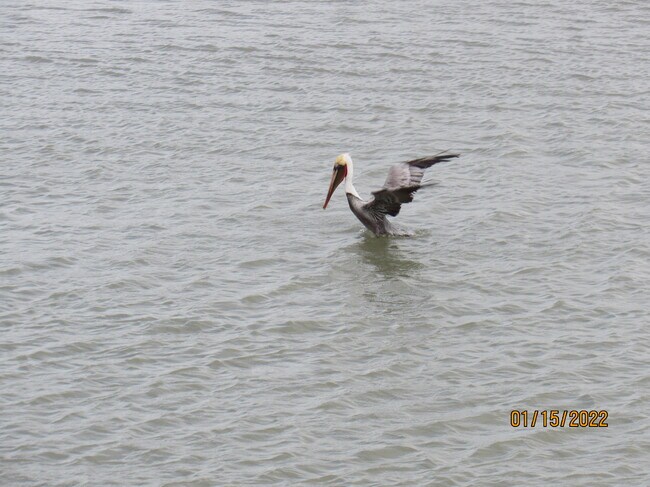 Building Photo - 1506 TX-100