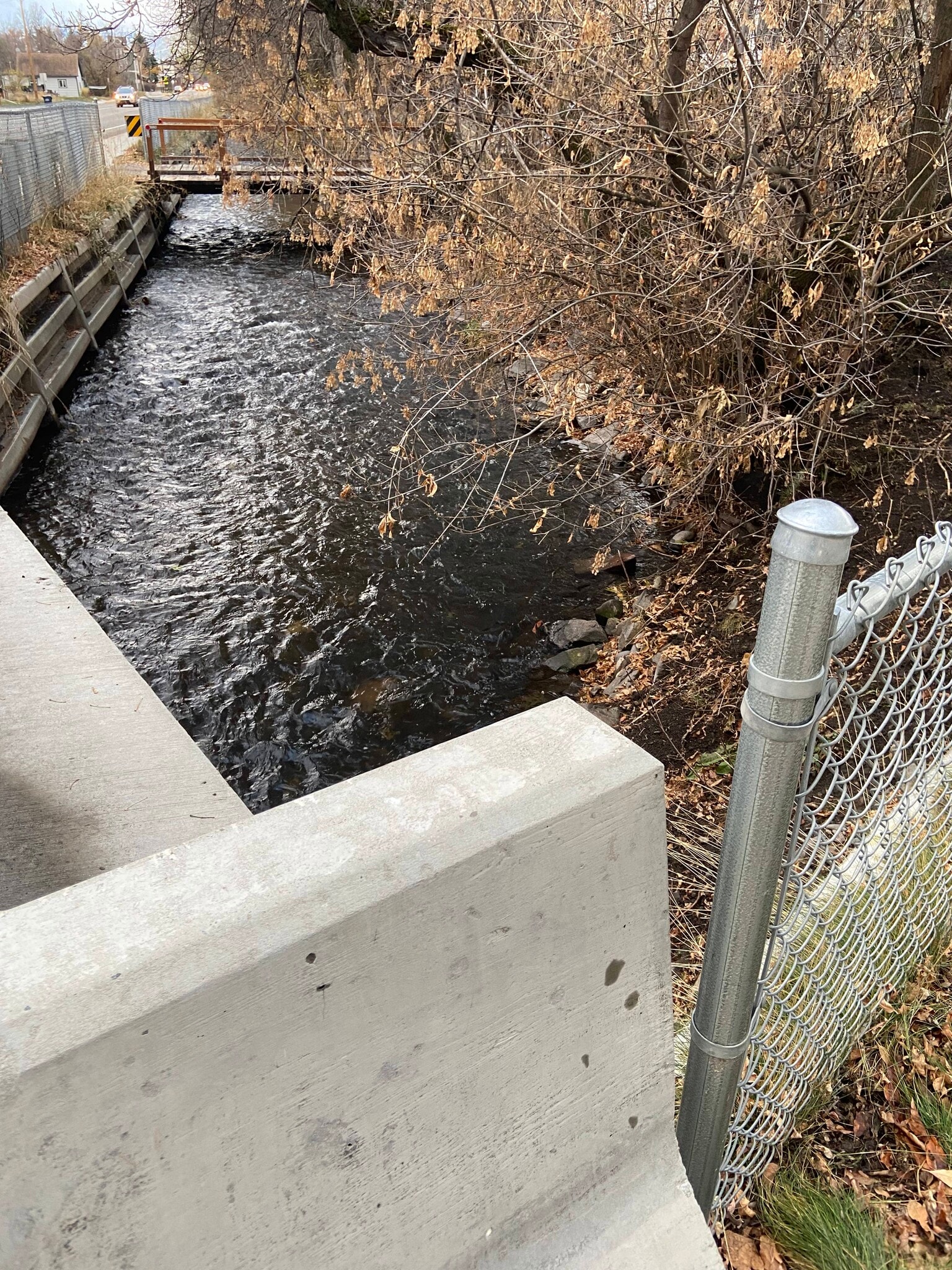 Creek that separates the front yard from the road - 501 N Rouse Ave
