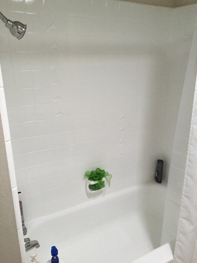 Building Photo - One story home on a HUGE lot in Central Camarillo