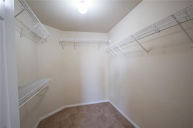 Building Photo - 9215 Pioneer Forest Dr