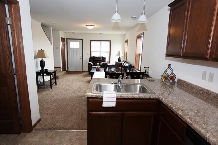 Building Photo - Tioga Townhomes