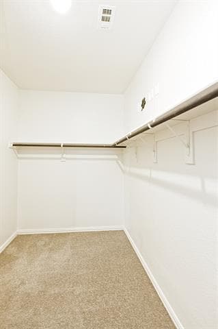 Building Photo - 3913 Murvaul Dr