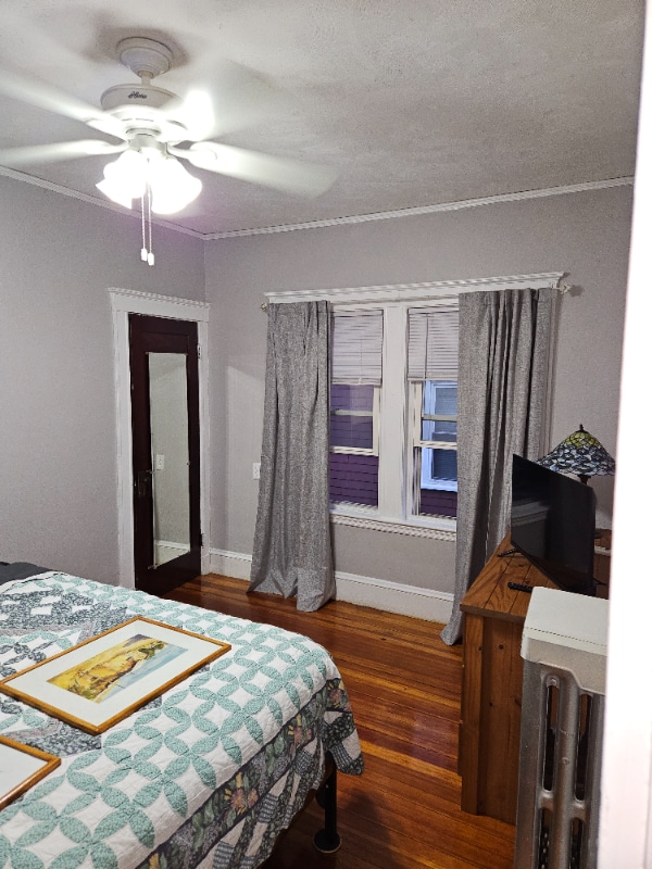 Building Photo - 536 Mt Auburn St