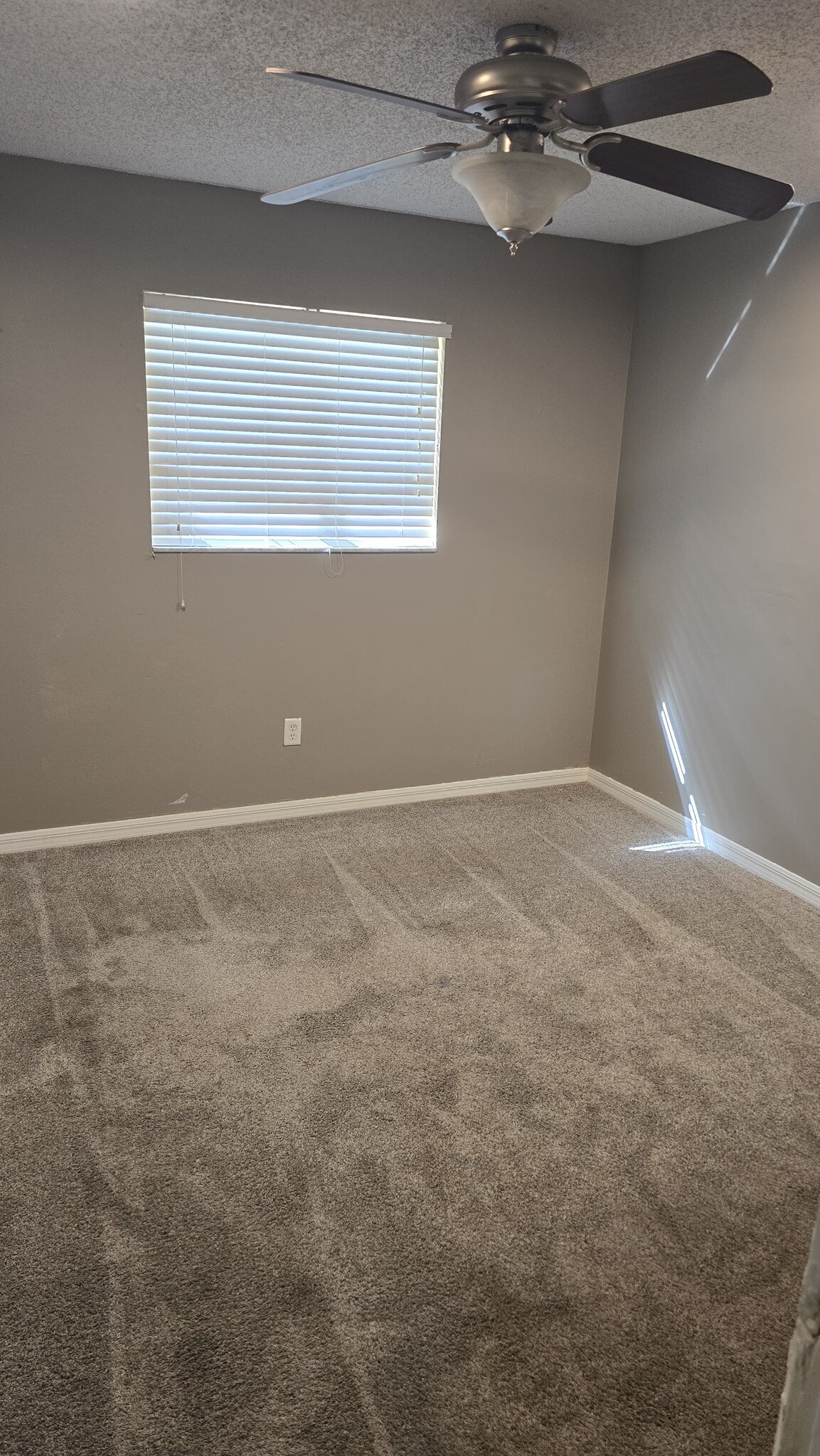 Building Photo - 819 E Rosewood Ln