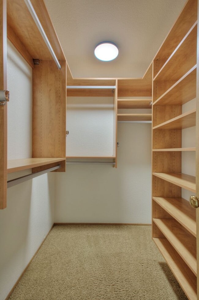 Building Photo - Bright & Spacious Rambler off of Cul-de-Sac