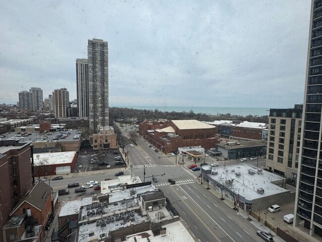 Building Photo - 1540 N La Salle Dr