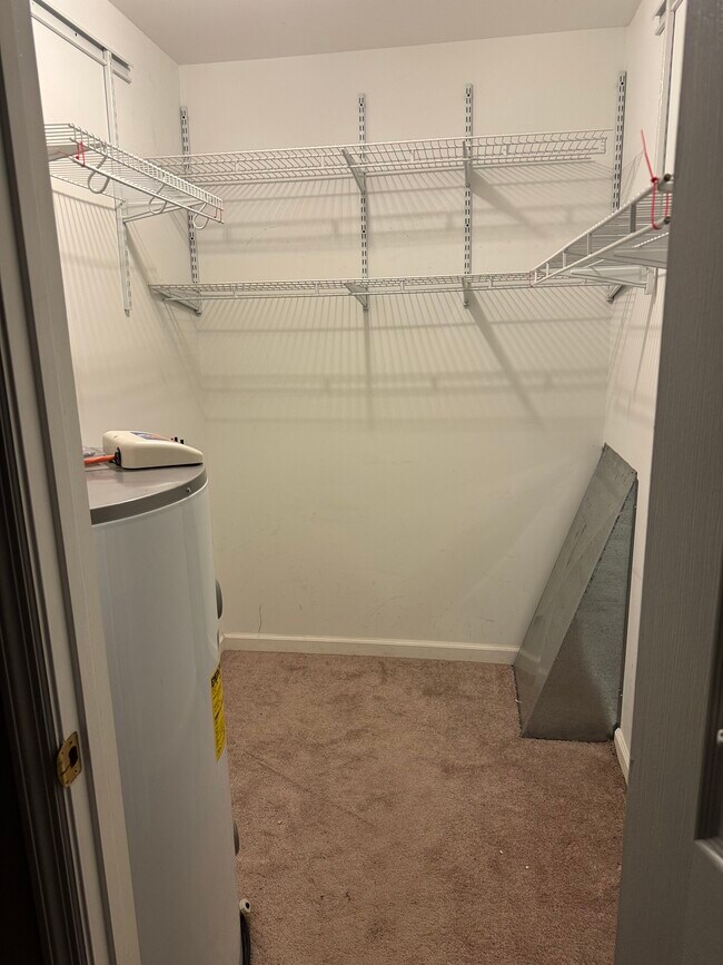 Building Photo - 311 Carver Ln