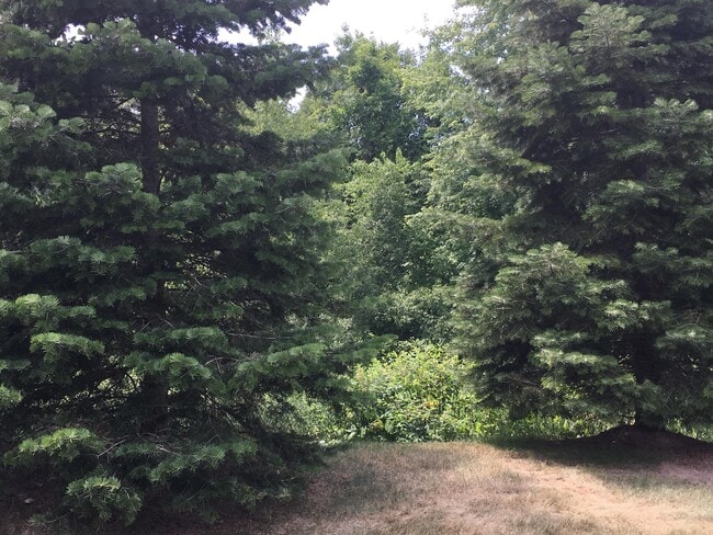 Building Photo - 20209 Chesapeake Cir