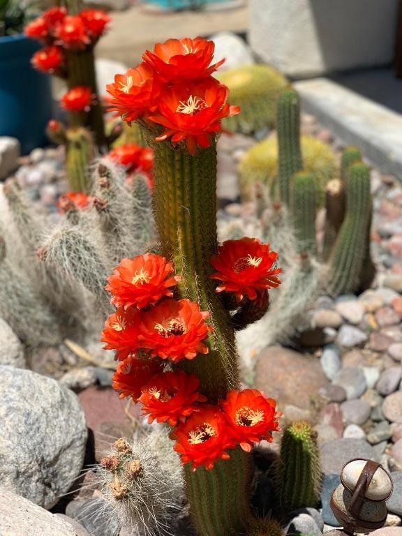 Building Photo - 6413 Center St