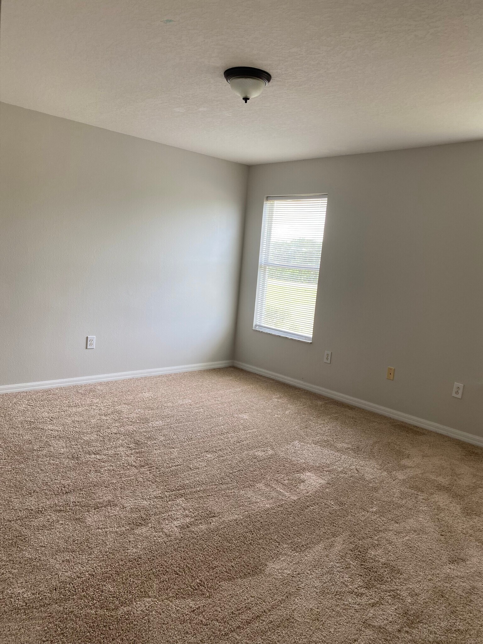 Building Photo - 7954 Carriage Pointe Dr