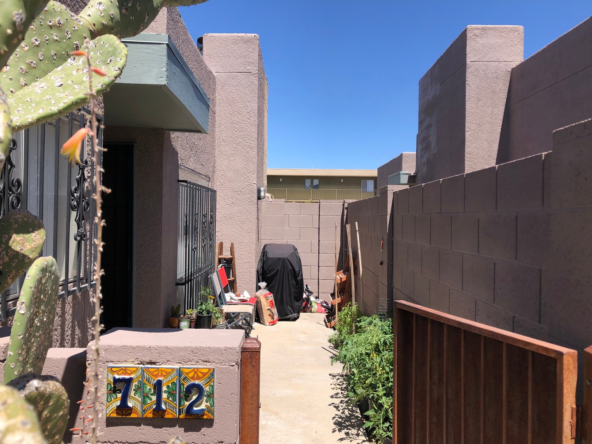 Patio (with example items) - 702 E Linden St