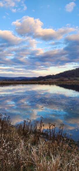 Building Photo - 2899 Sylvania Rd