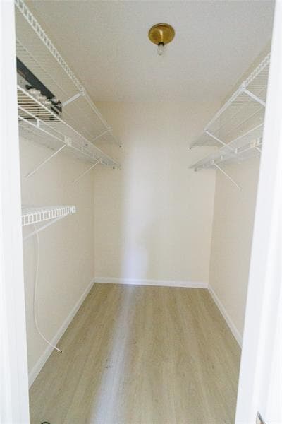 Building Photo - 8197 Royal Palm Ct