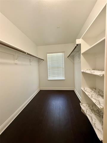 Building Photo - 2617 Jackson Dr