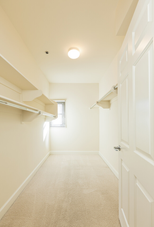 Primary bedroom walk-in closet - 4443 Moorpark Way