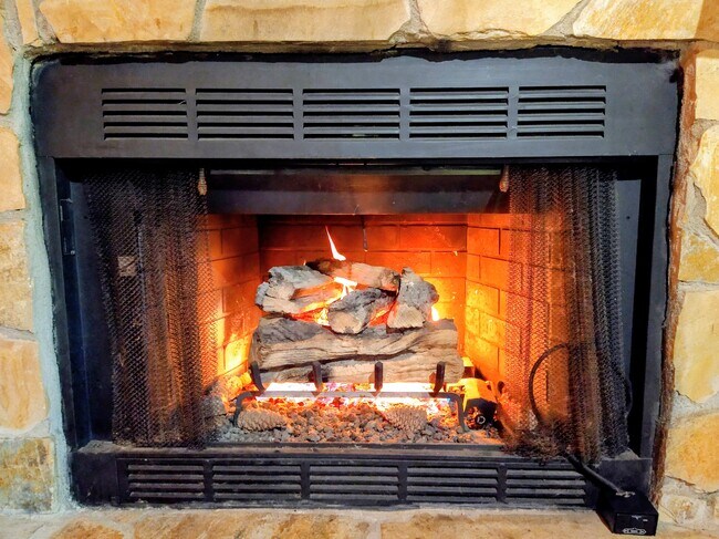 Building Photo - 546 Saddle Gap Dr