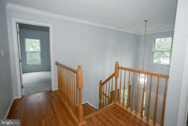 Building Photo - 13076 Dove Tree Ct