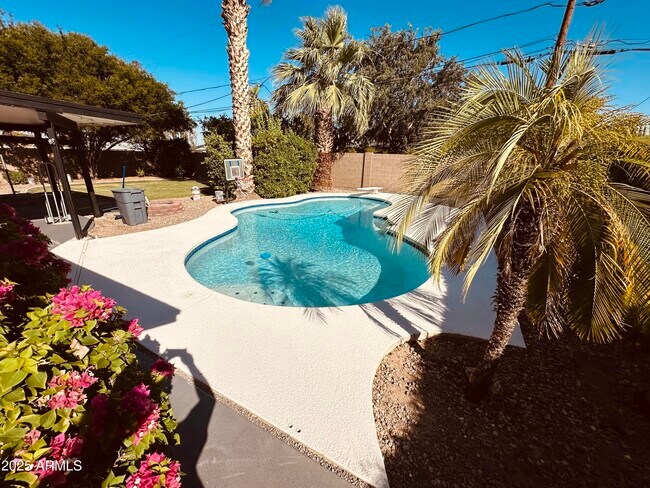 Primary Photo - 3109 E Cholla St