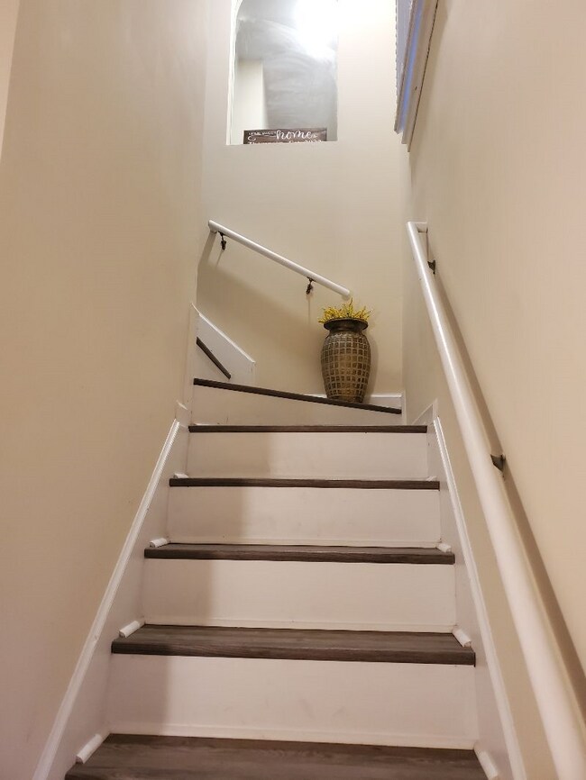 Entry into living space - 704 Rapidan River Ct