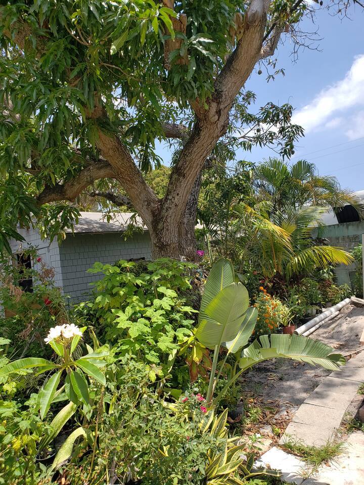 Building Photo - 1922 Jefferson St