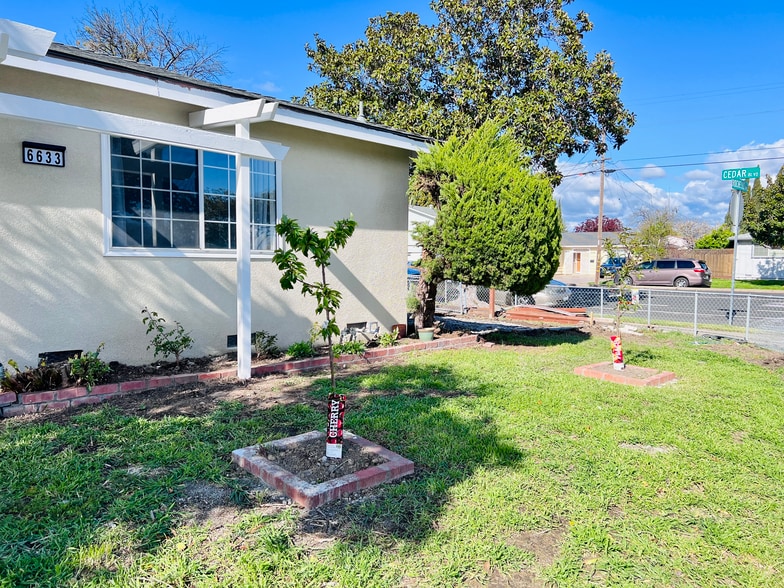 Front yard (newly planted flowers and fruit trees) - 6633 Rochelle Ave