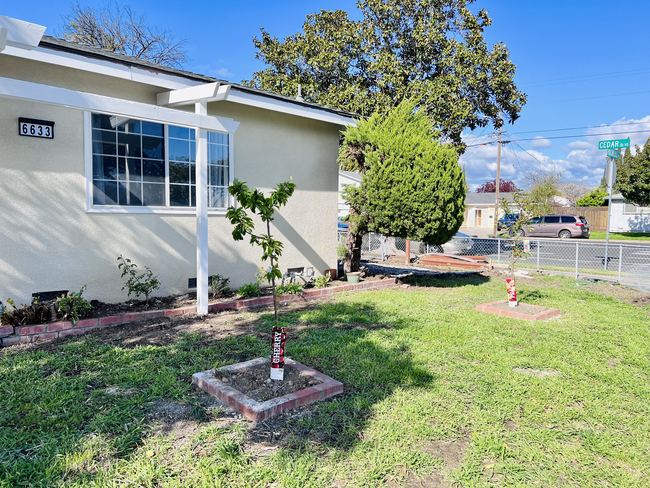 Front yard (newly planted flowers and fruit trees) - 6633 Rochelle Ave