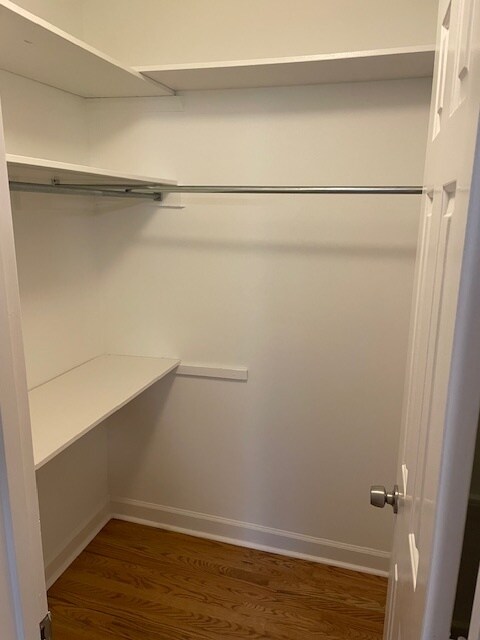 Walk in closet - 815 Lexington Ave