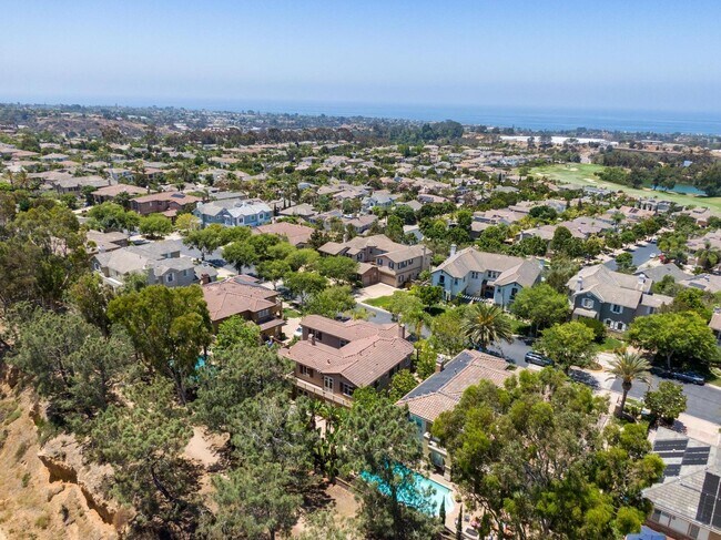 Building Photo - Gorgeous Estate Home In Encinitas Ranch