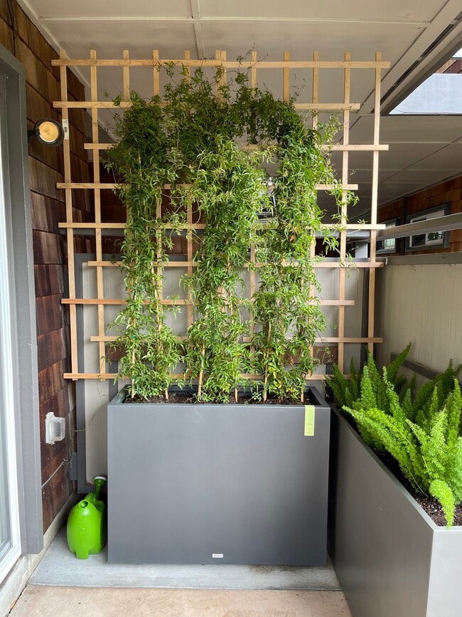 Building Photo - 36 Redwood Ave