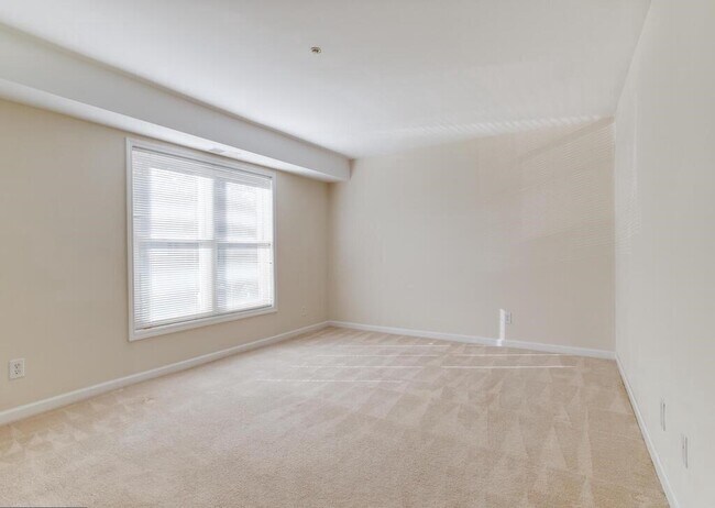 Large second bedroom - 1101 Primrose Ct