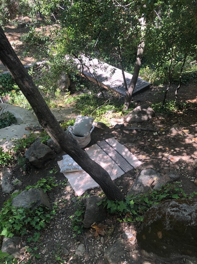 Building Photo - 25605 Wildwood Dr