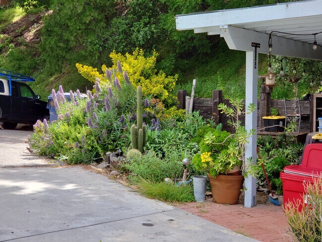 small drought tolerant garden - 1147 Bonilla Dr