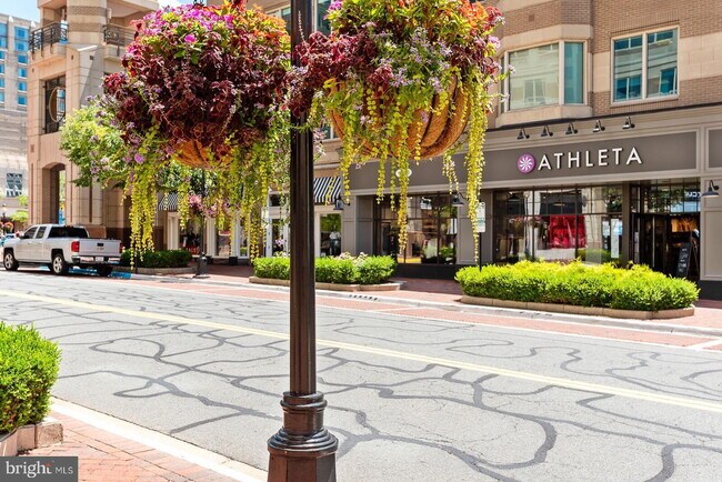 Building Photo - Spacious & Stylish North Shore Cluster Home Near Reston Town Center