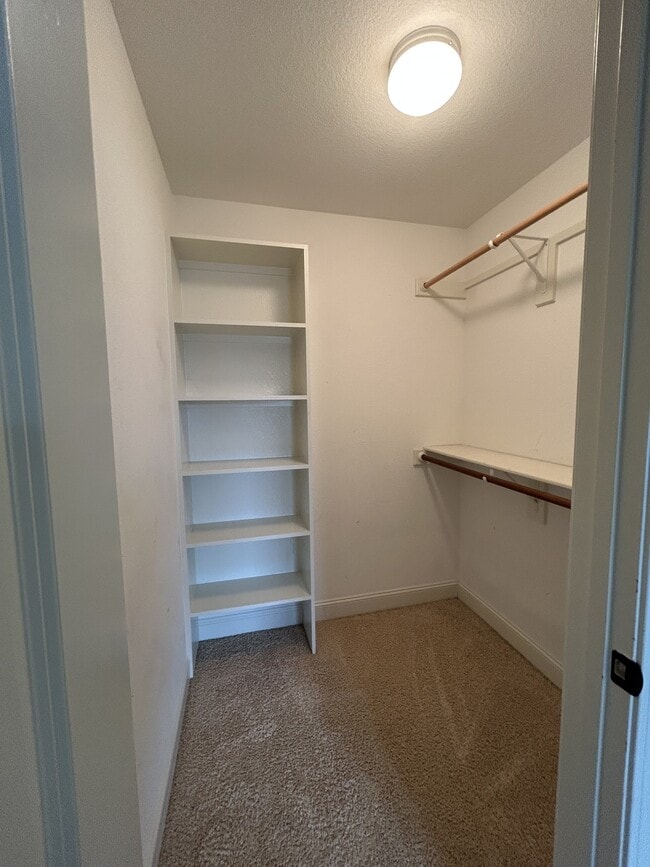 Building Photo - 1629 Brook Hollow Dr
