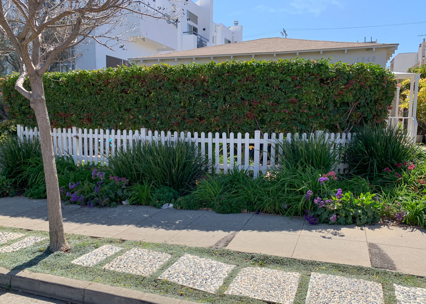 View of Unit & Patio from Street - 1242 24th St