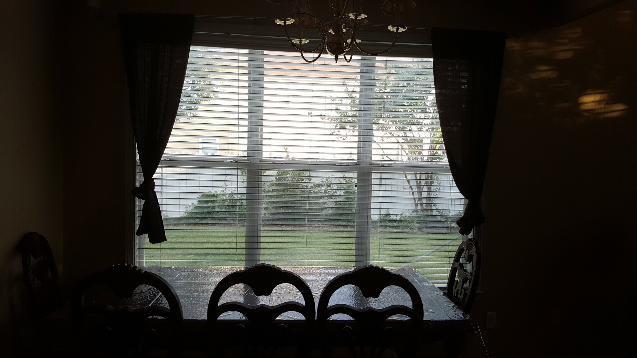 yard view from dining area - 1162 Island Pl E