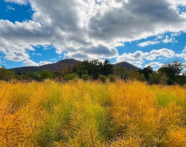 Building Photo - 520 State Rd