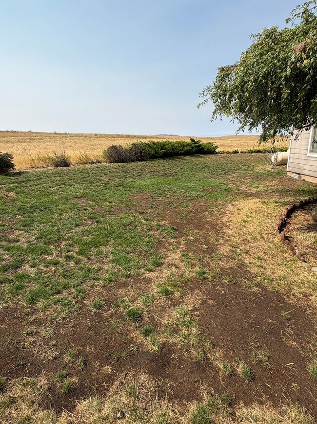 Building Photo - Beautiful Country Home on 20 Acres with Stunning Mountain Views