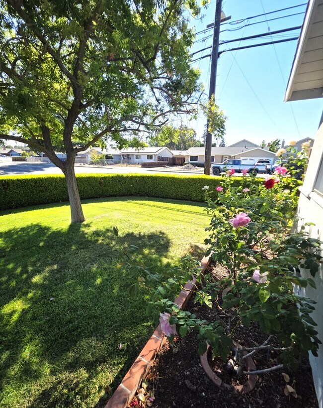Building Photo - Delightful Single Story 2/2 with Expanded Bath and Beautiful Gardens