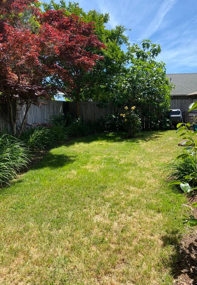 Backyard - 2726 Duffy Dr