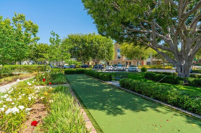 Building Photo - Ocean, #104