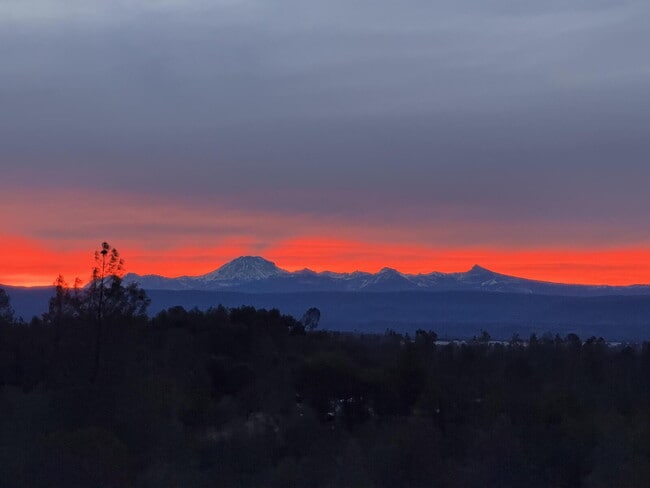 Building Photo - Peaceful Hilltop Retreat with Views | Unfurnished 5BD Executive Home on Private Knoll