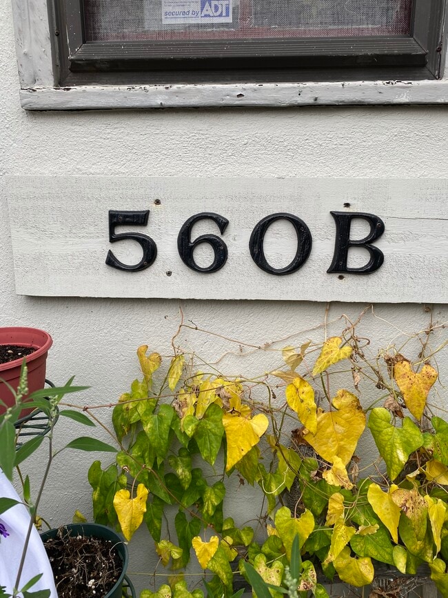 doorway - 560 S 3rd St