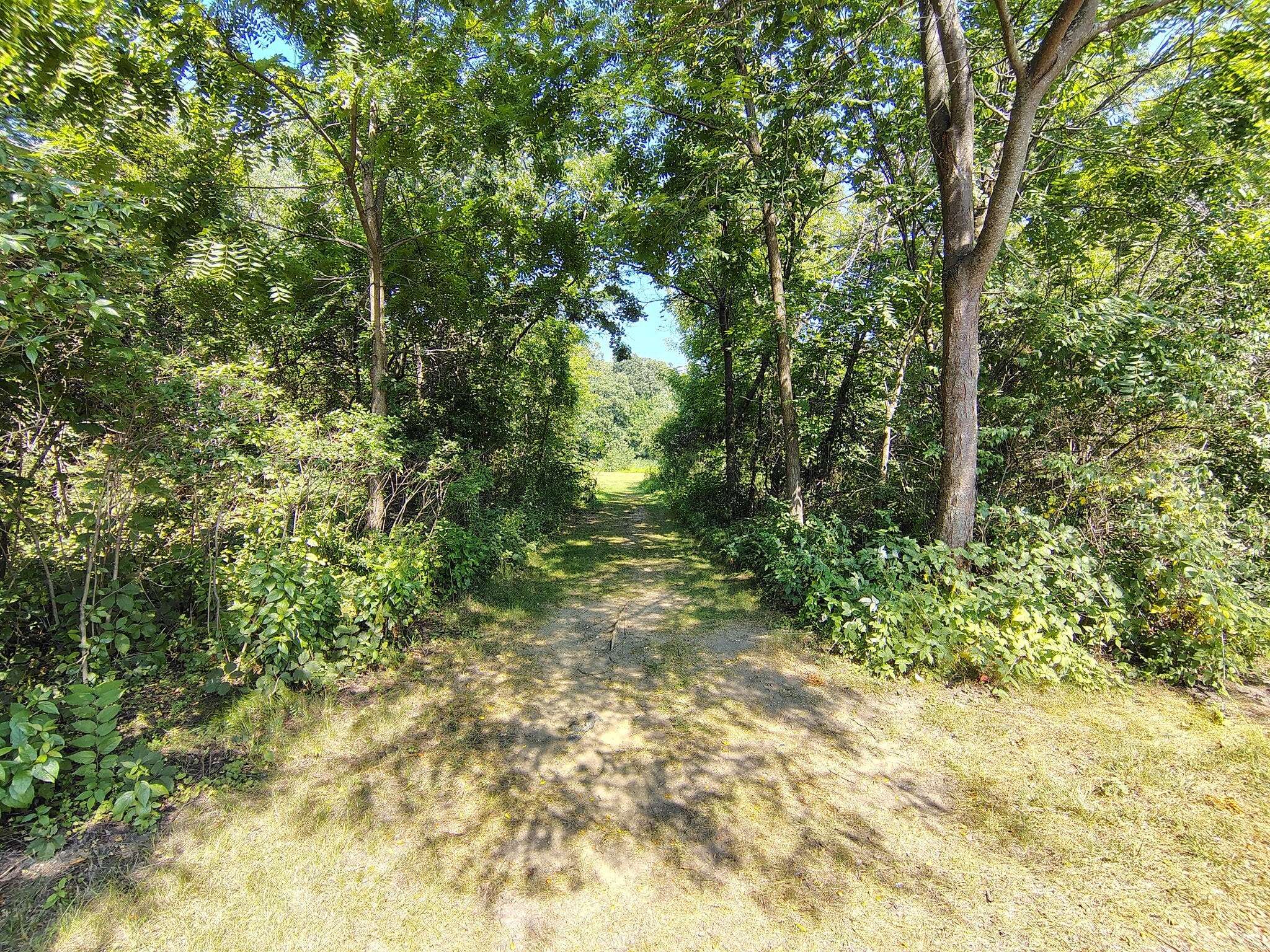 Building Photo - 667 Woodhaven Dr