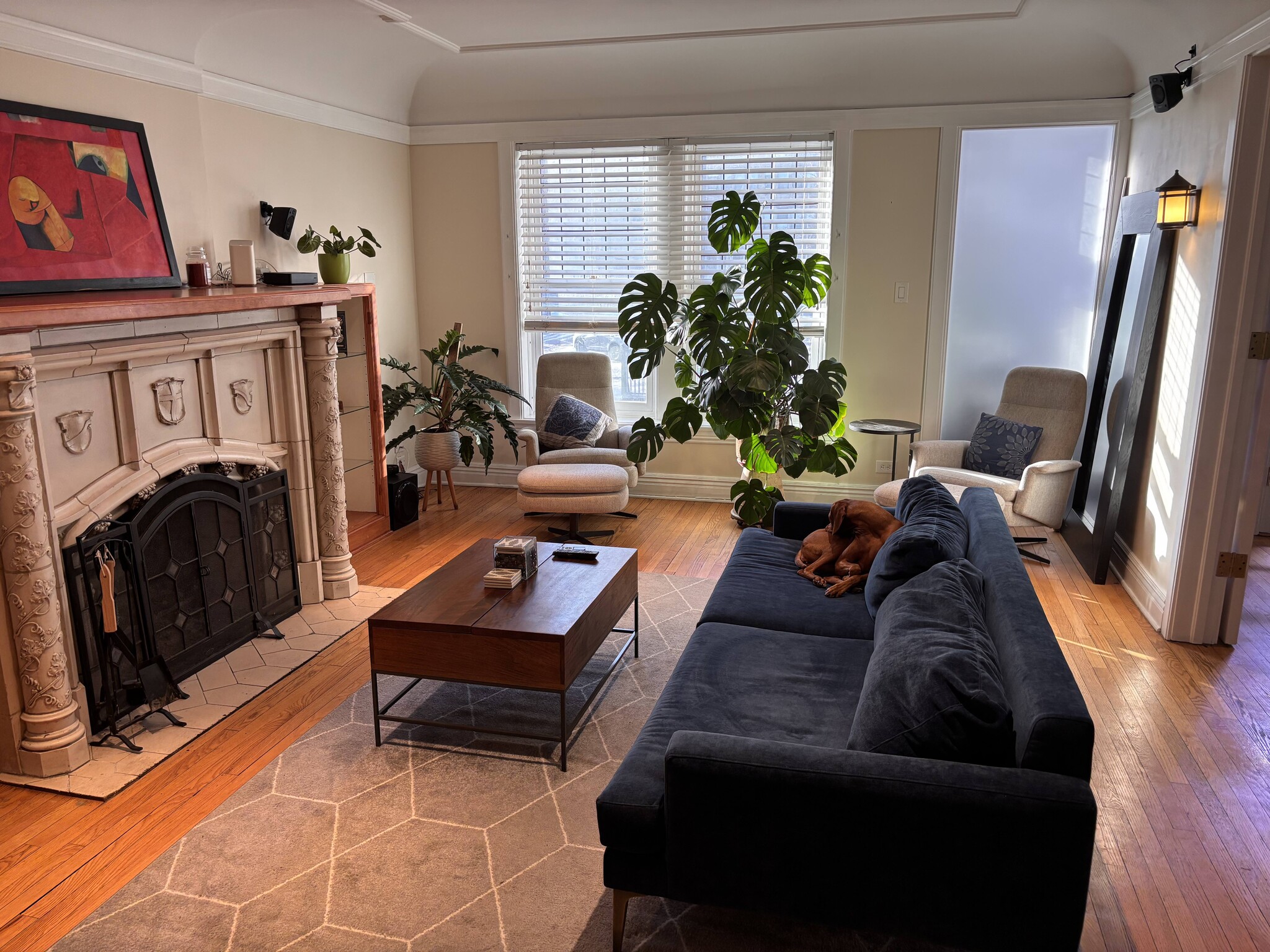 Building Photo - 642 W Bittersweet Pl