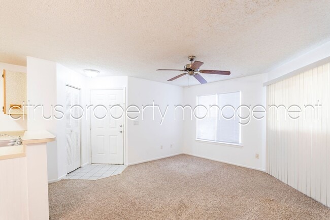 Building Photo - 2569 Grassy Point Dr