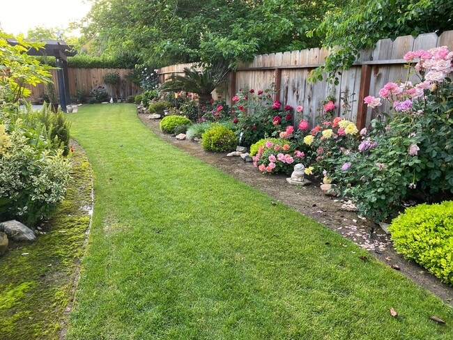 Building Photo - $2,250 Armstrong & Sierra, Beautiful 3 Bed...